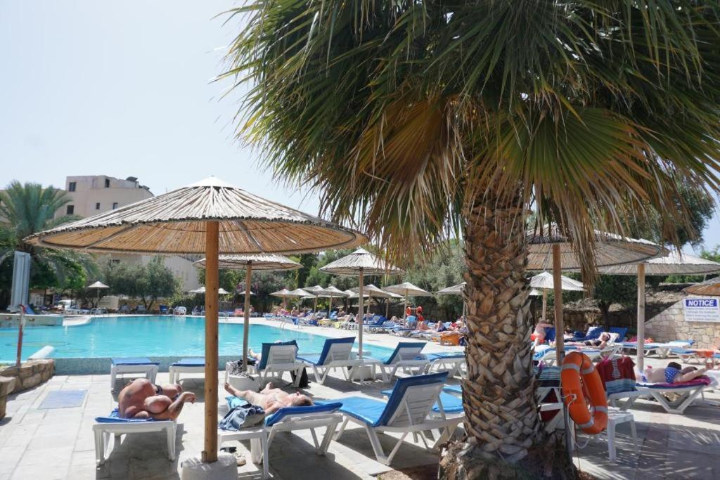 Alex'S Vacation Suite - 100M From The Beach - 6 Guests Paphos Eksteriør bilde