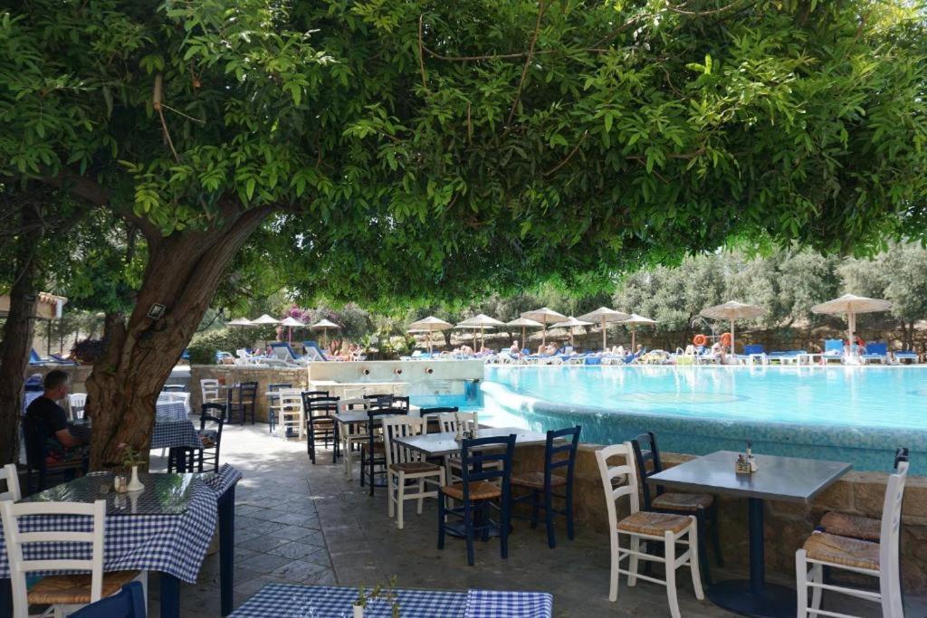 Alex'S Vacation Suite - 100M From The Beach - 6 Guests Paphos Eksteriør bilde